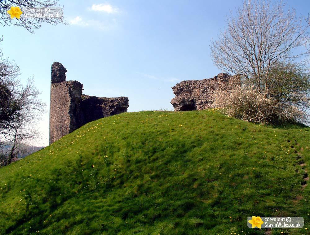 Llandovery picture