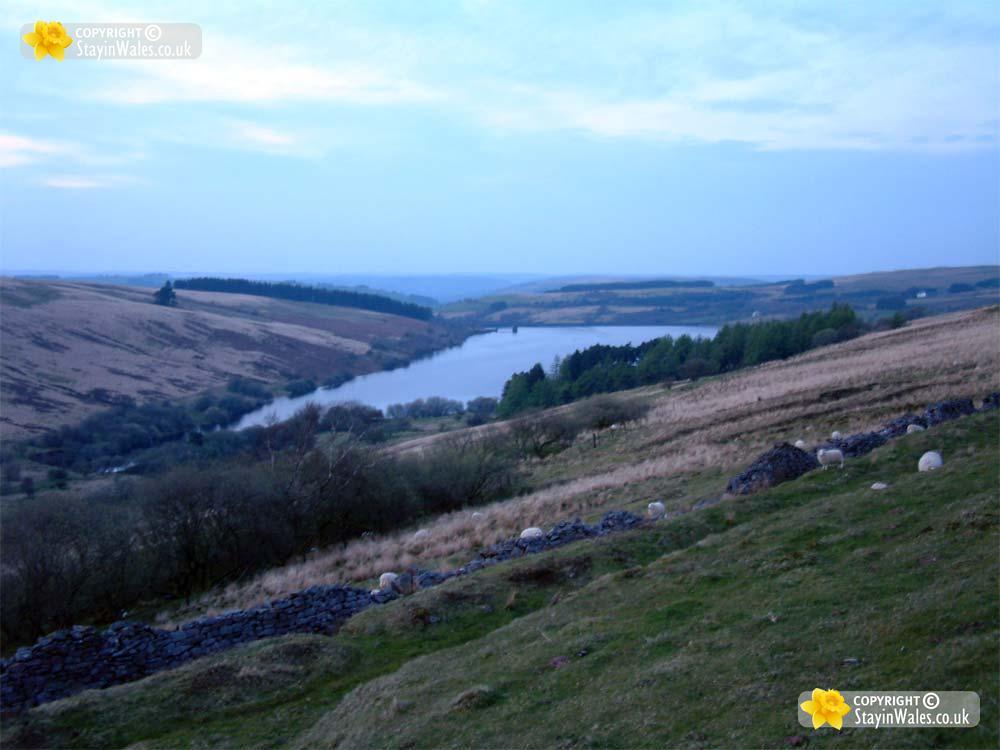 Sennybridge picture