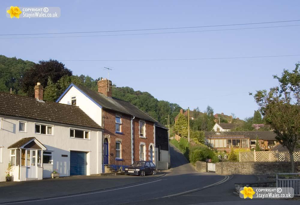 Knighton picture
