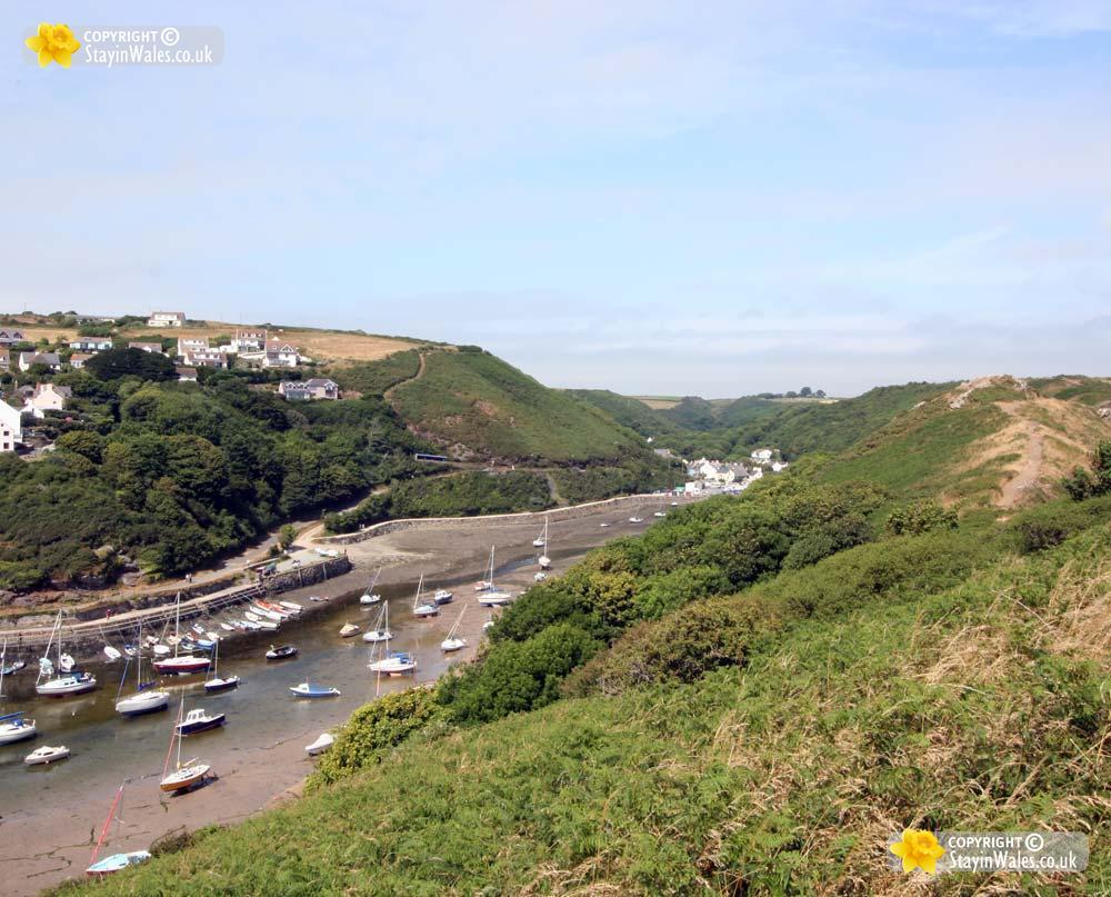 Solva picture
