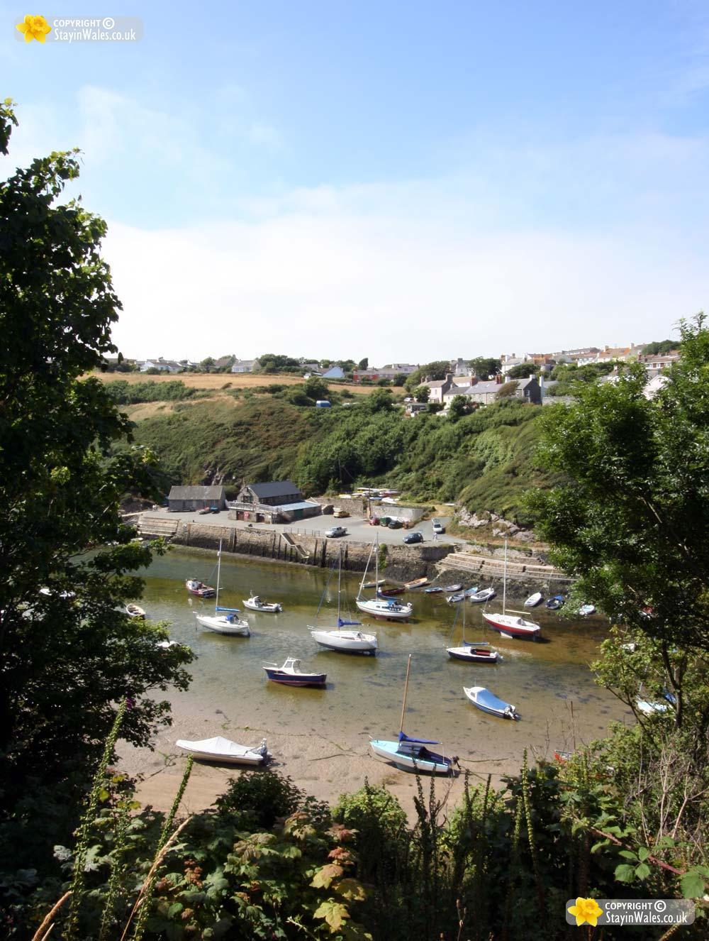 Solva picture