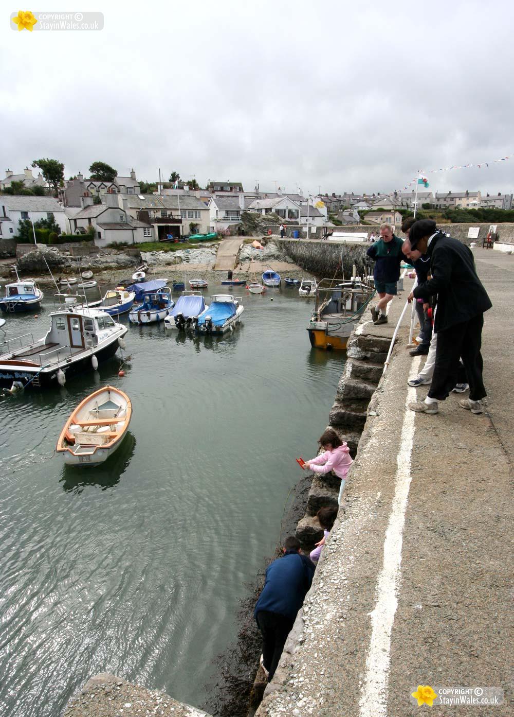 Cemaes Bay picture