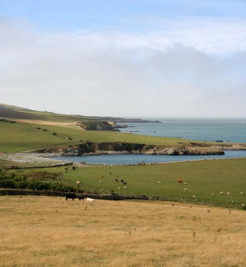 Hen Borth