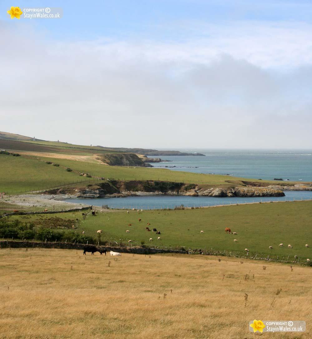 Hen Borth picture