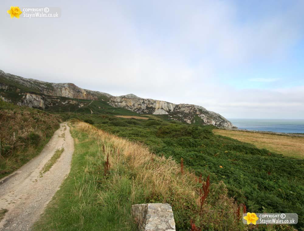 Holy Island coastline