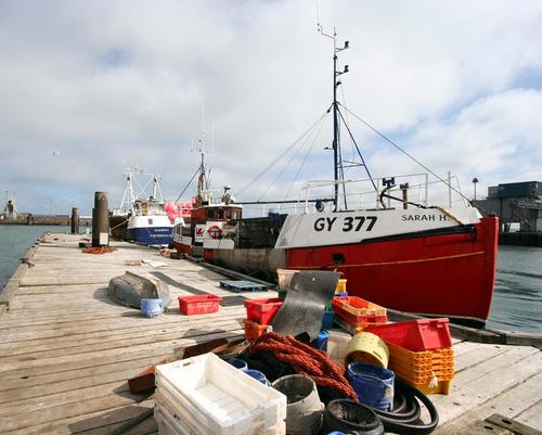 The Fish Quay at Holyhead