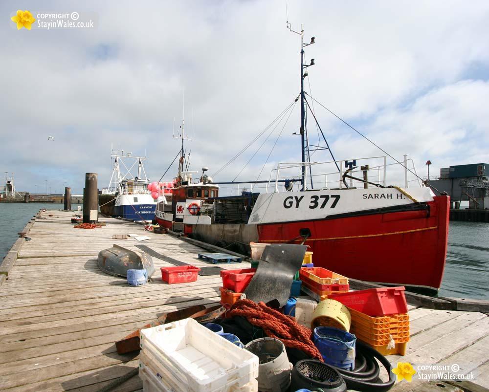 The Fish Quay at Holyhead