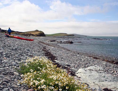 Cemlyn Bay