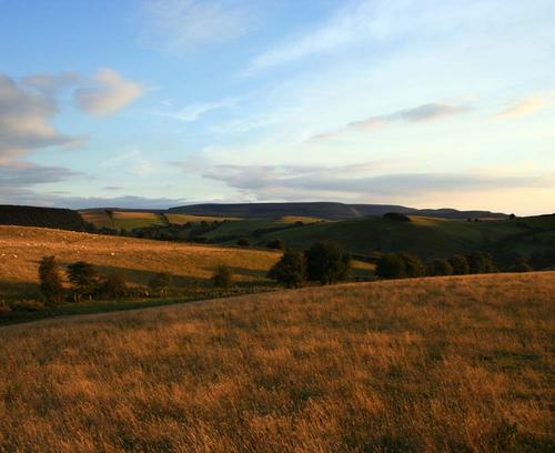 Radnor Forest