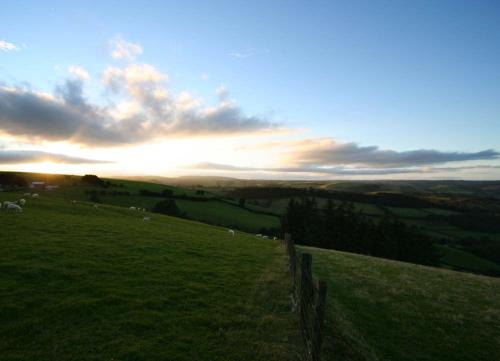Knighton