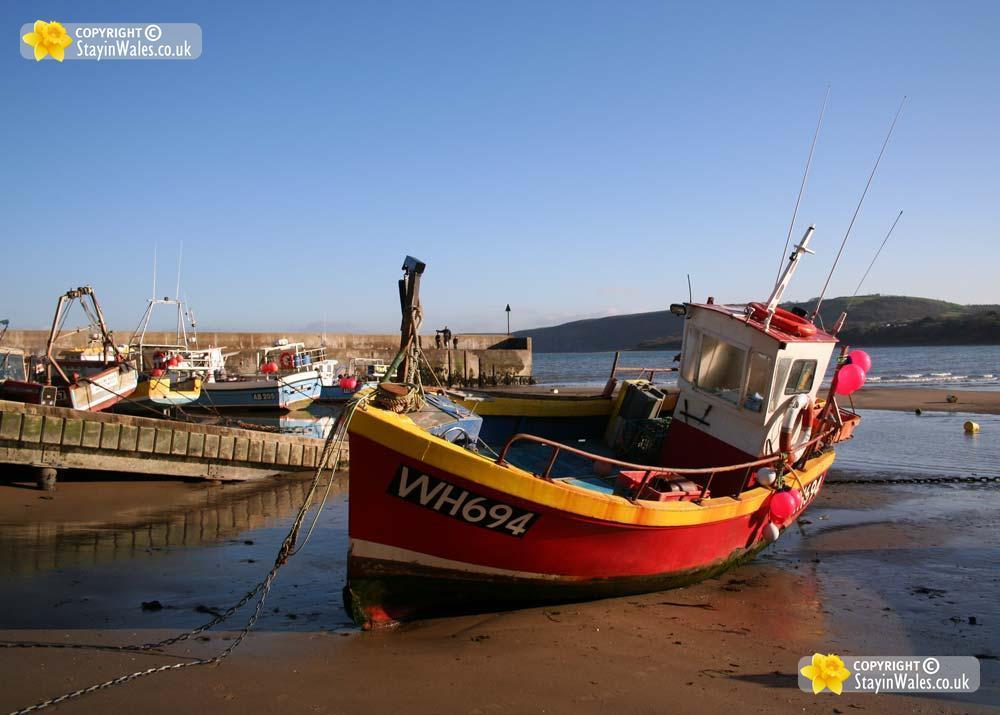 New Quay picture