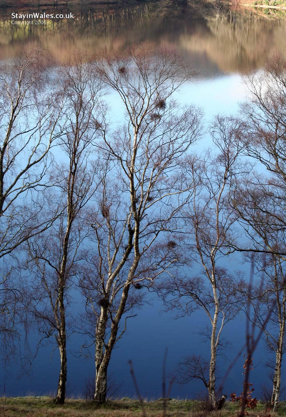 Garreg Ddu Reservoir