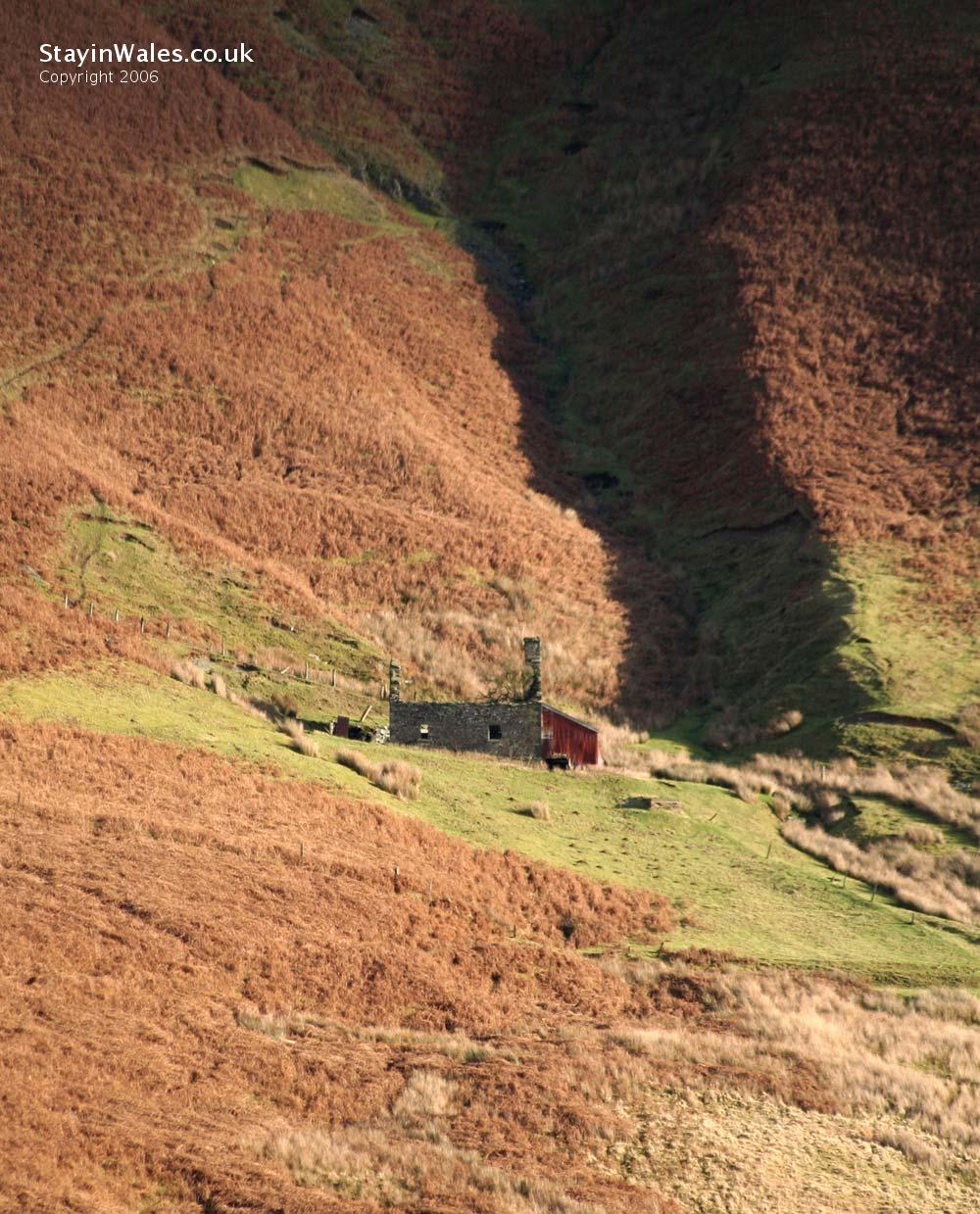 Elan Valley farmhouse ruin