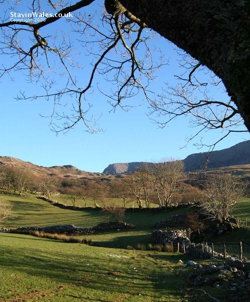 Cader Idris from Tynyceunant
