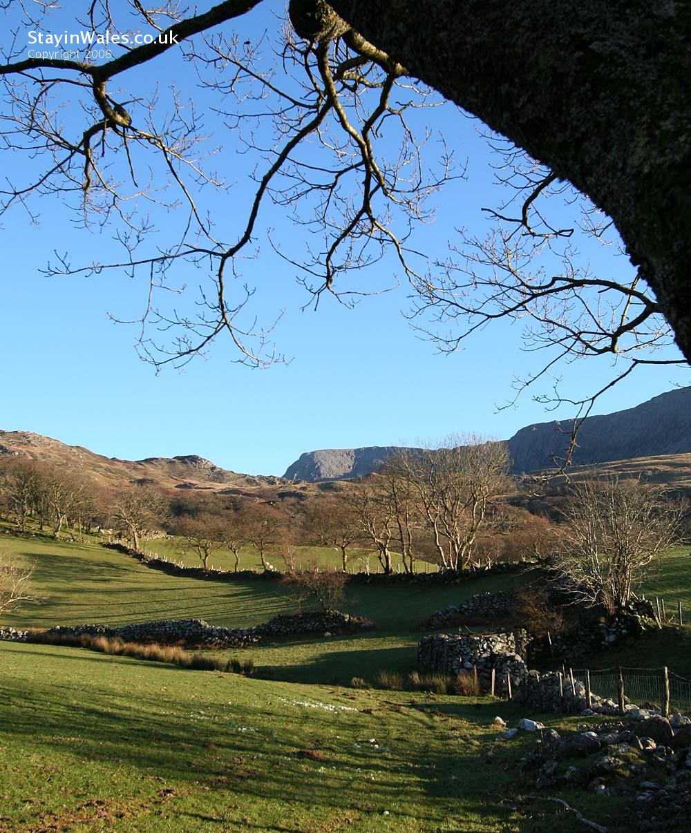 Cader Idris from Tynyceunant