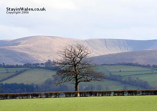 Brecon Beacons from Llanddew