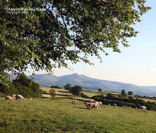 Brecon Beacons