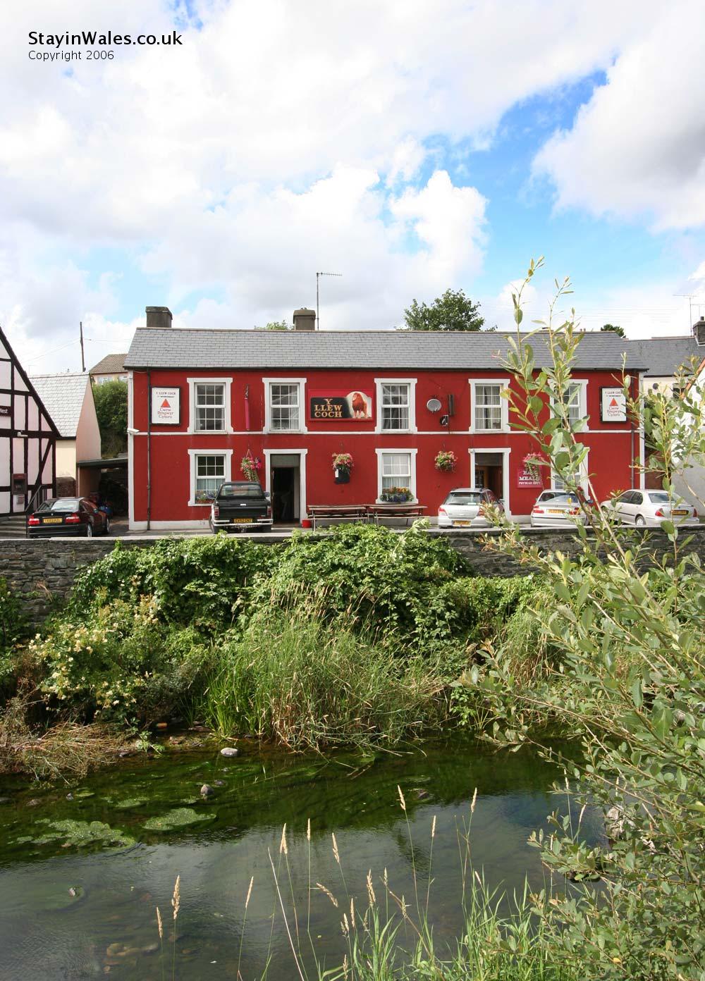 Llew Coch Tregaron