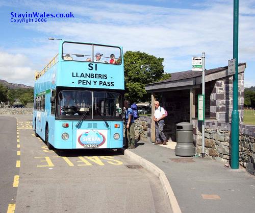 snowdonia bus