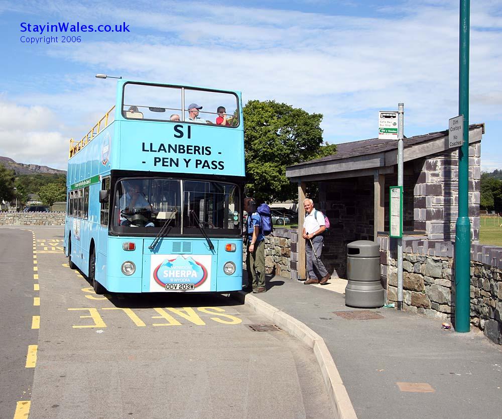 snowdonia bus