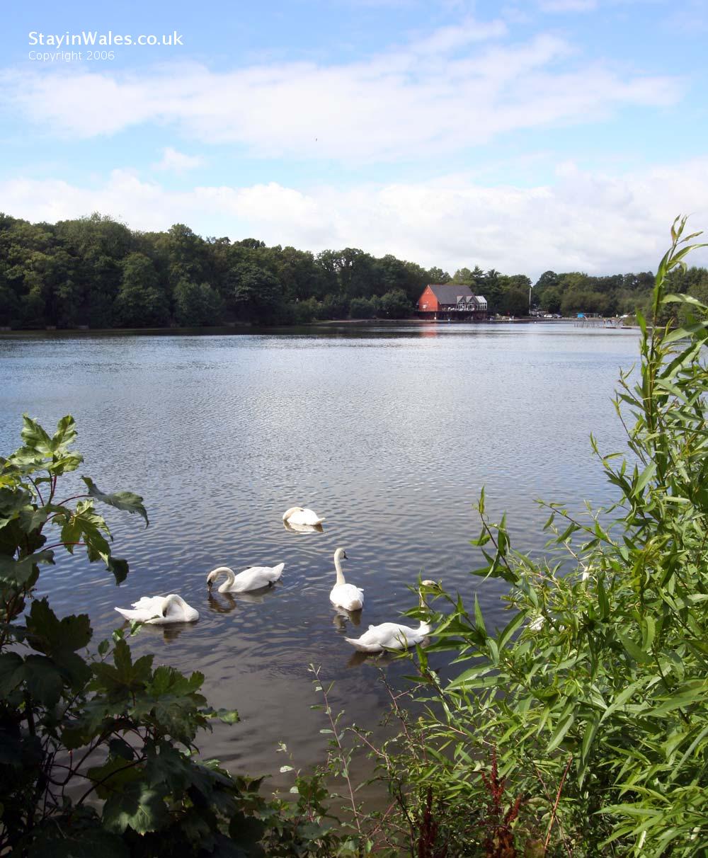 Llandrindod Wells Lake