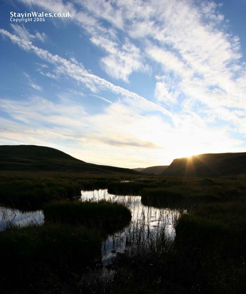 Gors Lwyd peat bog
