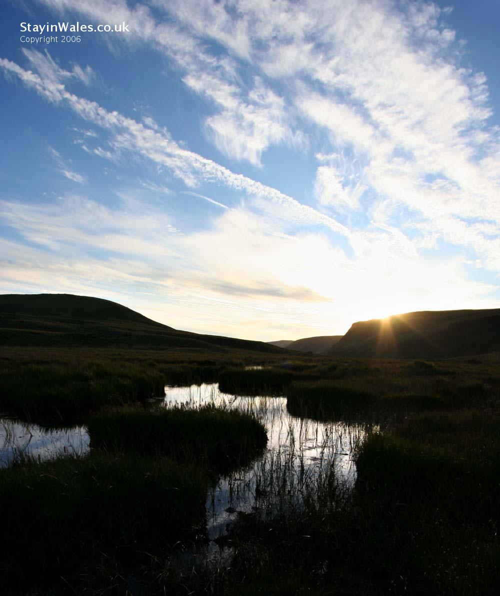 Gors Lwyd peat bog