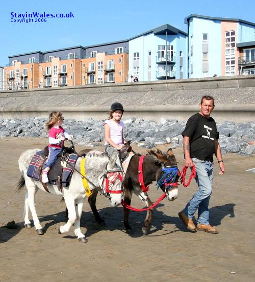 Donkey rides Llanelli