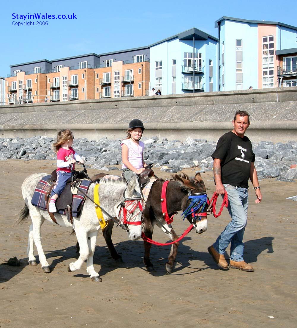 Donkey rides Llanelli