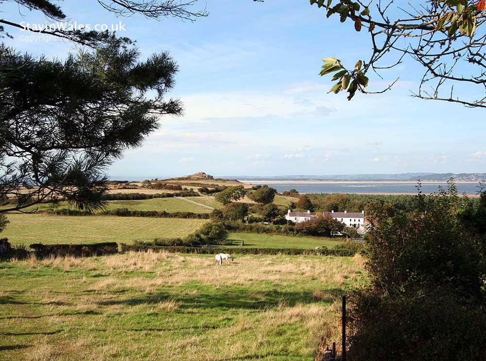 Cwm Ivy and Whiteford Burrows