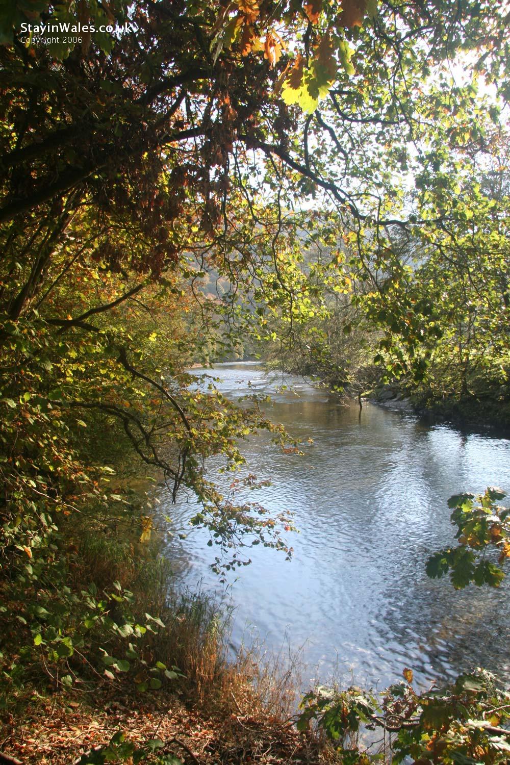 River Wye near Rhayader