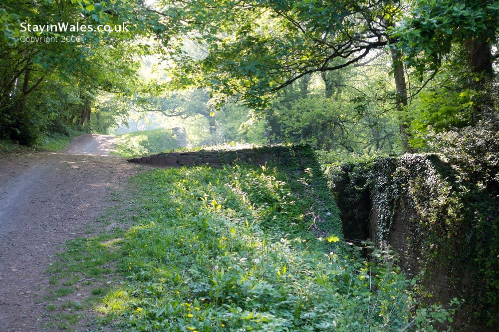Fourteen locks Rogerstone