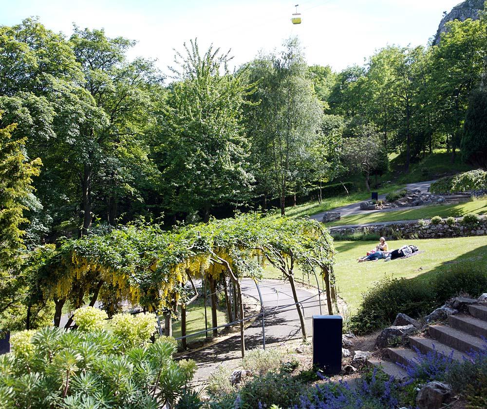 Happy Valley Gardens