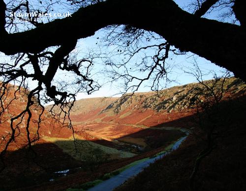 Abergwesyn Common