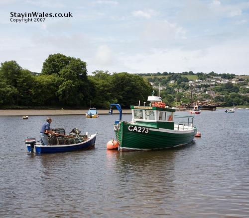 Ceredigion fisherman