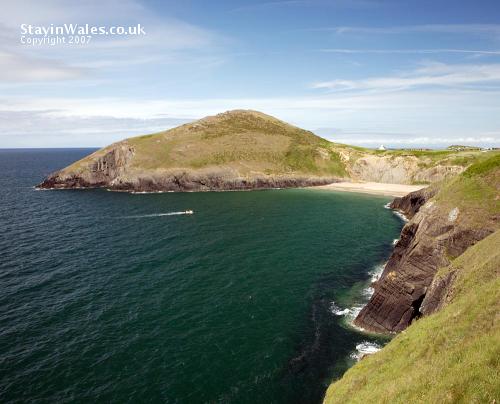 Mwnt