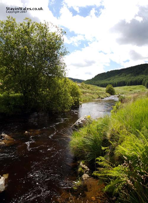 River Towy