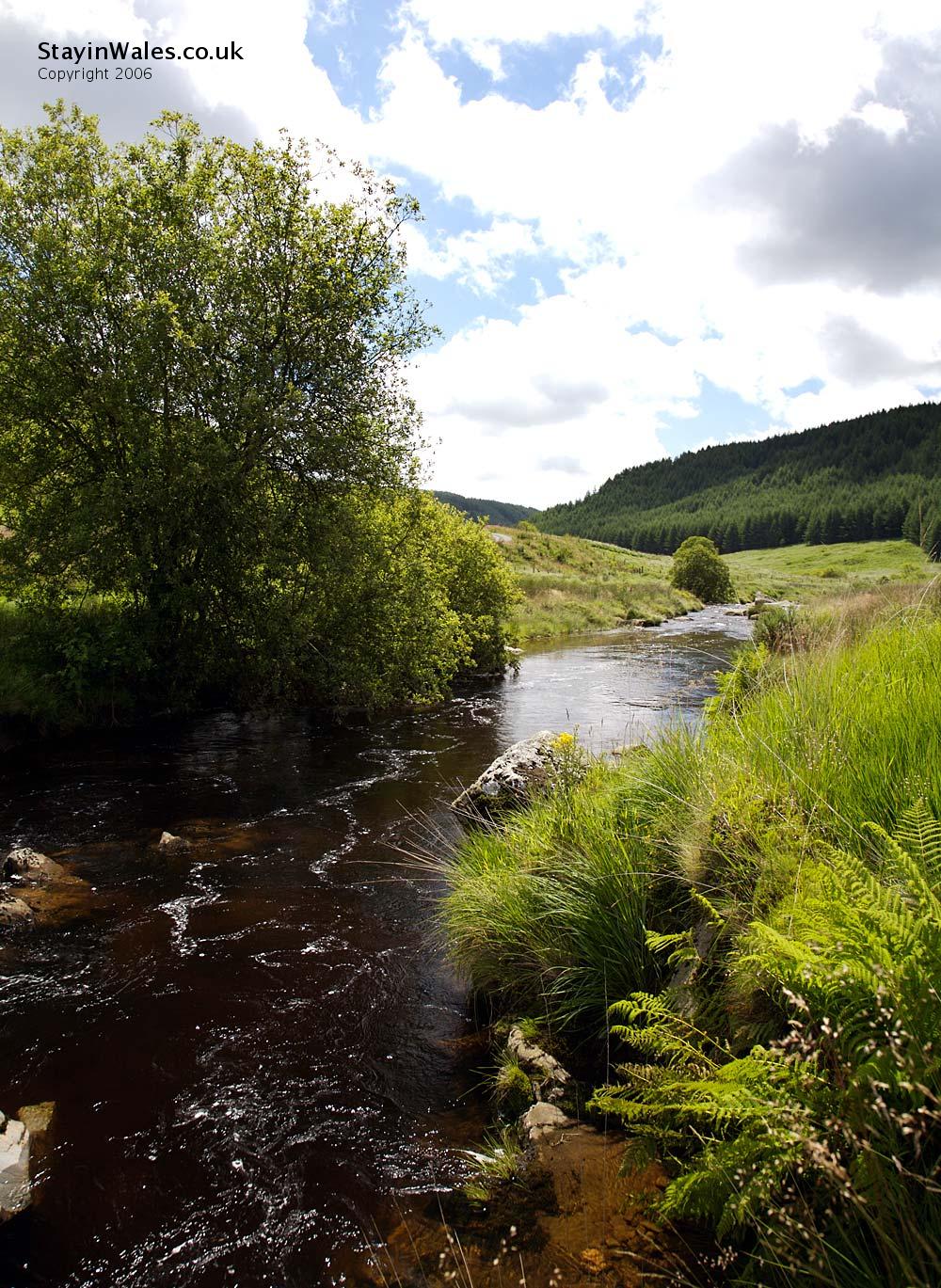 River Towy