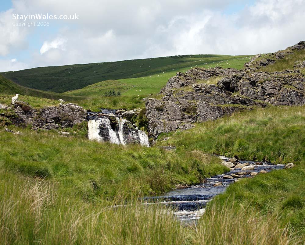 River Camddwr
