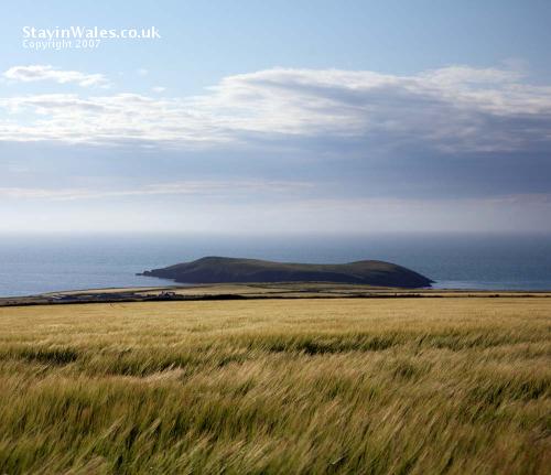 Cardigan Island