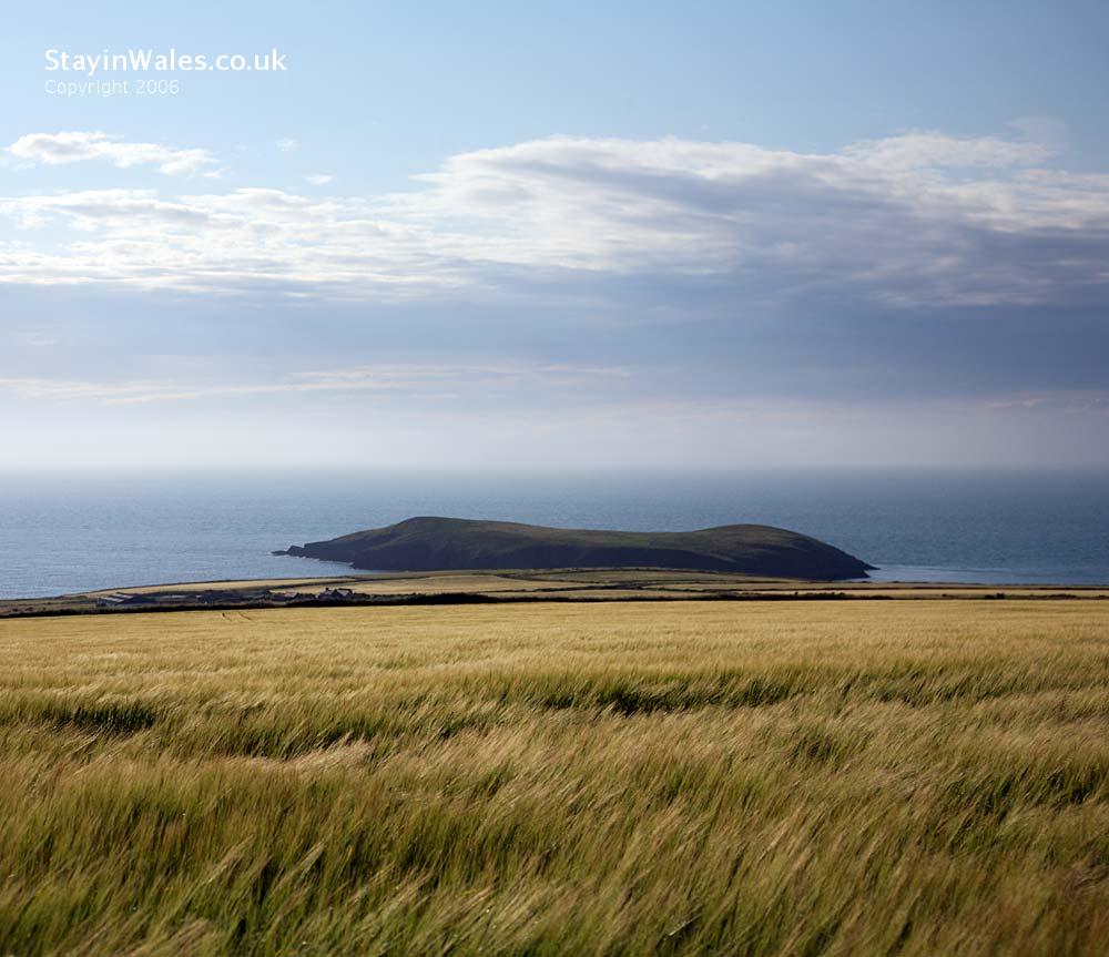 Cardigan Island