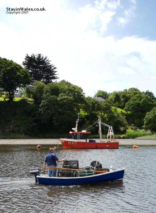 Cardigan fisherman