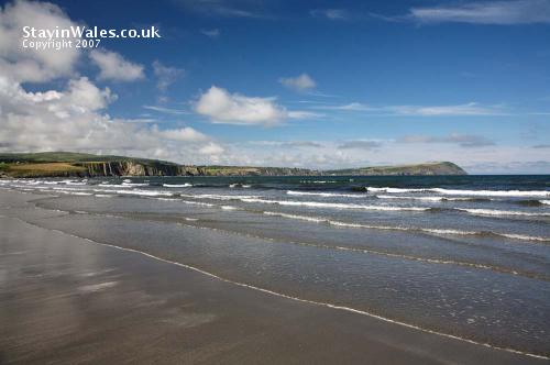 Dinas Head