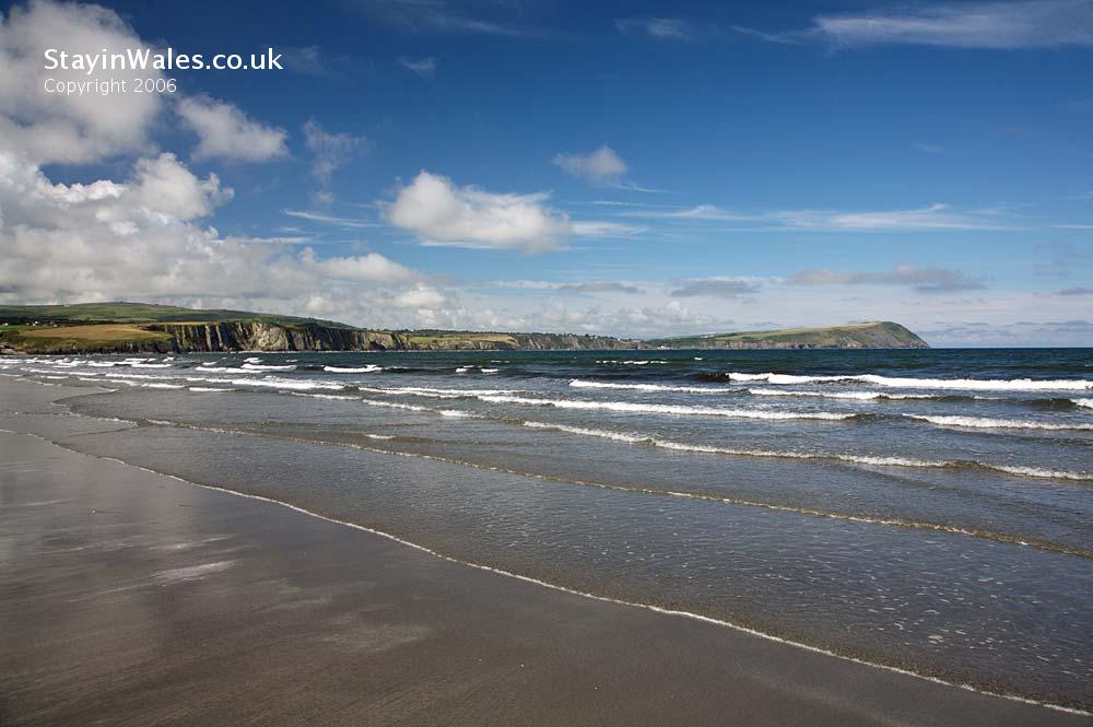Dinas Head