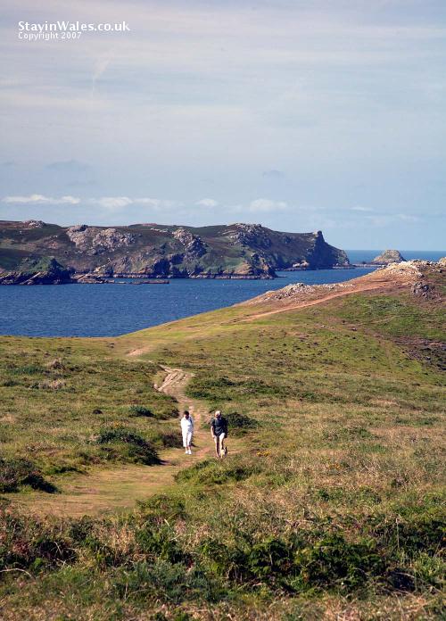 Wooltack Point