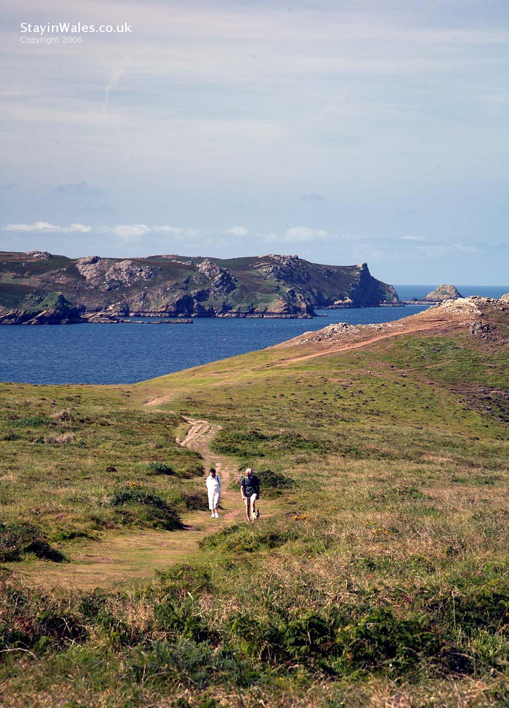 Wooltack Point