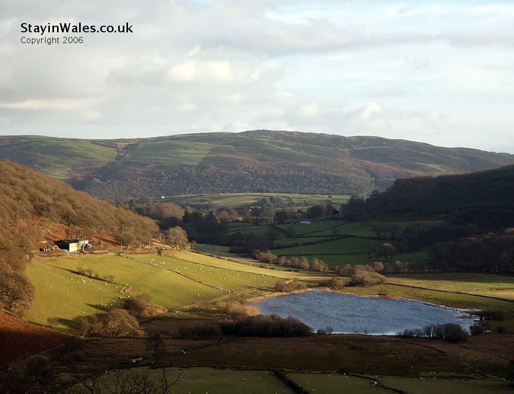 Glanllyn Lake and Gwastedyn Hill