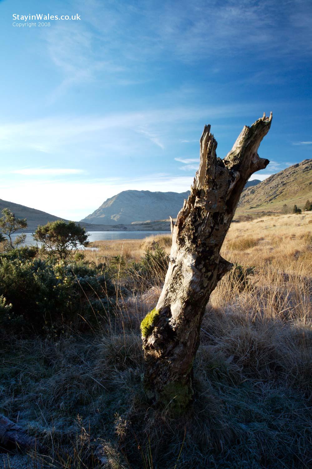 Gallt y Wenallt, Snowdonia