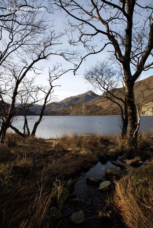 Llyn Gwynant, Snowdonia