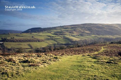 Pant-y-Llyn seen from Garth Hill, Builth